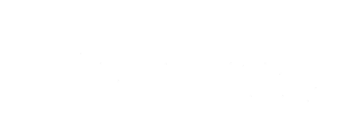 LE ROUIC